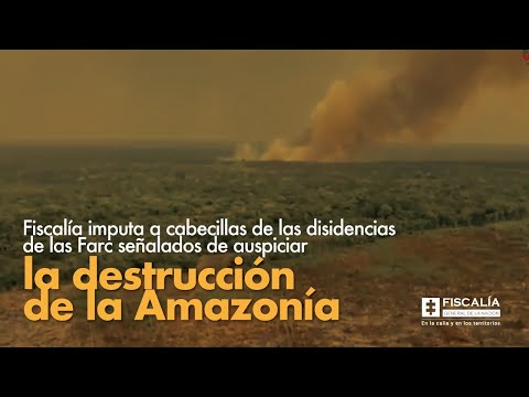 Fiscal Francisco Barbosa: Imputados cabecillas de disidencias de Farc por destrucción de la Amazonía