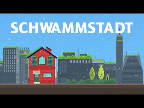 Klimawandel: So wird Köln zur Schwammstadt