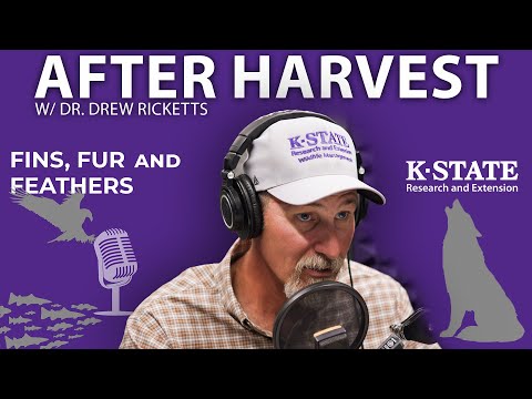 ...now what? | Fins, Fur, and Feathers episode 54 - After the Harvest