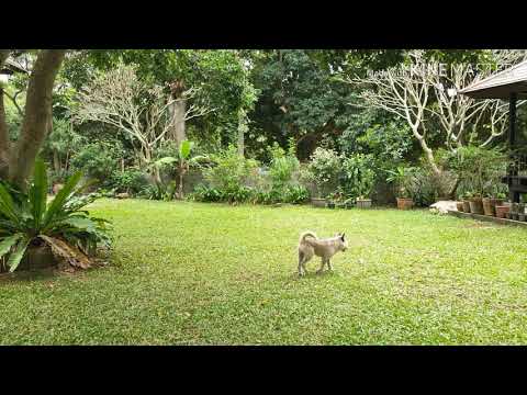 Guide for the Journey Home, Chapter One - P'Taah - by Jani King