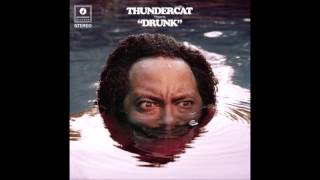 Thundercat "Drunk"-  Rabbot Ho/Captain Stupido