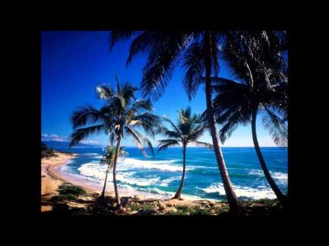 Jamie Drastik Feat. Pitbull - Save Me (new 2011)(HD video)