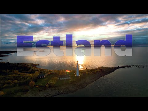 Abenteuer Estland: Von Tallinns Türmen bis zu Bären im Urwald - Camping Roadtrip mit Hund