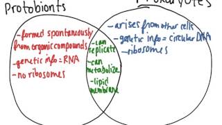 First Cells (worked example)