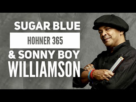 Legendary Blues Harmonica: SUGAR BLUE plays Hohner 365 & Sonny Boy Williamson II🎵 Sugar Blue Music