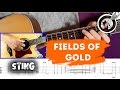Fields of gold (Sting) - видеоурок + табы 