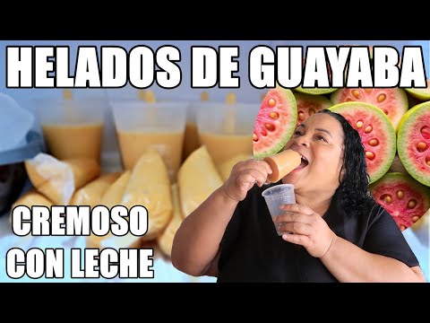 CREMOSO HELADOS DE GAYABA/ el sazon de mika