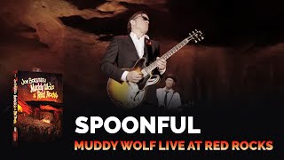 Joe Bonamassa - Spoonful - Muddy Wolf at Red Rocks