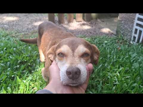 Unfortunately, this is how Lemmy (Mini-Nino) is.