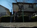 Reverse Grip 41 Muscle ups 成嶋武の逆手マッスルアップ41回