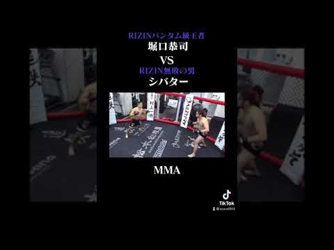 堀口恭司VSシバター