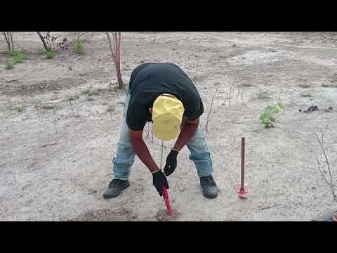 DETECTORISMO NO CANTO DOS CUPINS MONSENHOR GIL PIAUI 