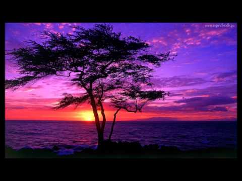 Vis in Cor (Krychol/DeWu) - #HOTHEAD (Prod. DeWu)