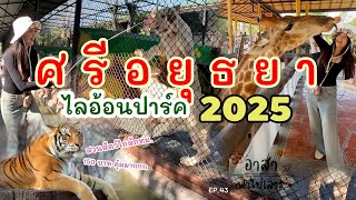 สวนสัตว์ ศรีอยุธยา ไลอ้อน ปาร์ค 2568 Review Sriayuthaya Lion Park 2025 | อาสาพาไปเลาะ : asapapailor