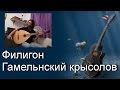 Песни под гитару. Филигон - Гамельнский крысолов (cover) 