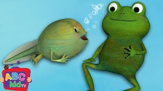 Frog Song (Life Cycle of a Frog) | CoCoMelon Nursery Rhymes &amp; Kids Songs