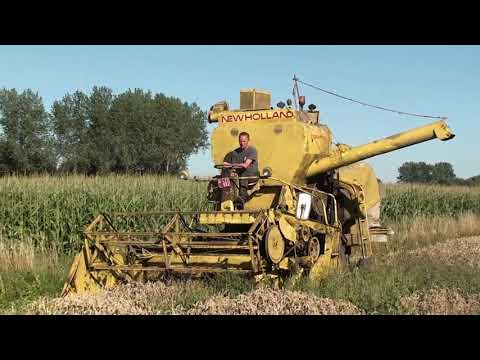 Landb Dumortier - Rumbeke - Clayson M103