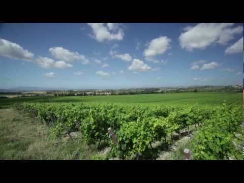La nuova Tenuta dell'Ammiraglia nel cuore della Maremma - Marchesi de' Frescobaldi