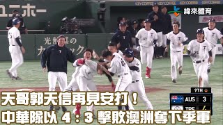 [分享] 郭天信 再見安打影片