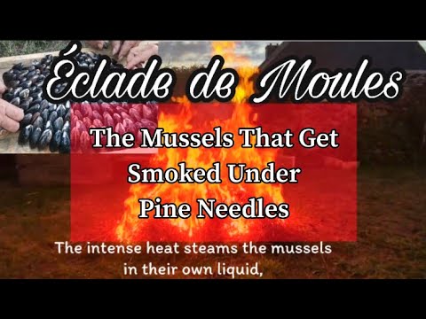 HOW TO COOK ECLADE DE MOULES
