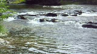 River Seam where trout are for Tenkara action