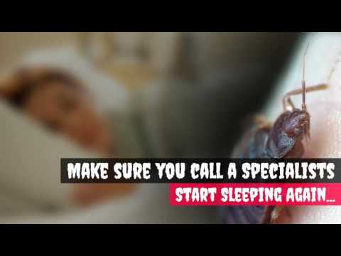Windy City Bed Bug Specialists YouTube video thumbnail 26