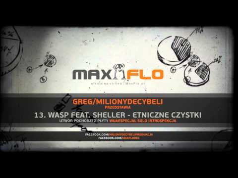 13. Wasp feat. Sheller - Etniczne Czystki / prod. Greg/Miliony Decybeli (Składak LP)