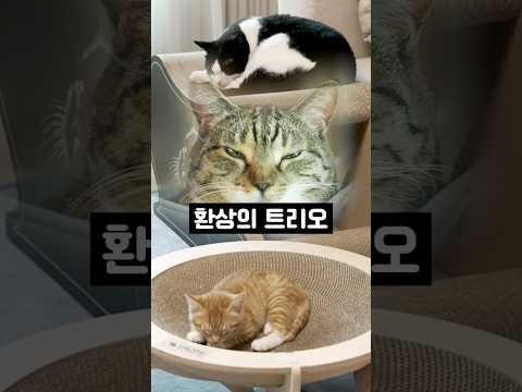 역시 남다른 춘봉첨지칠복이네