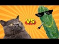 TRY NOT TO LAUGH Cats Vs Cucumbers Compilation Funniest Moment When Cat Scared