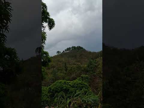 mirador las lechuzas.  burrica de ola cocle panama.  Marzo 2026