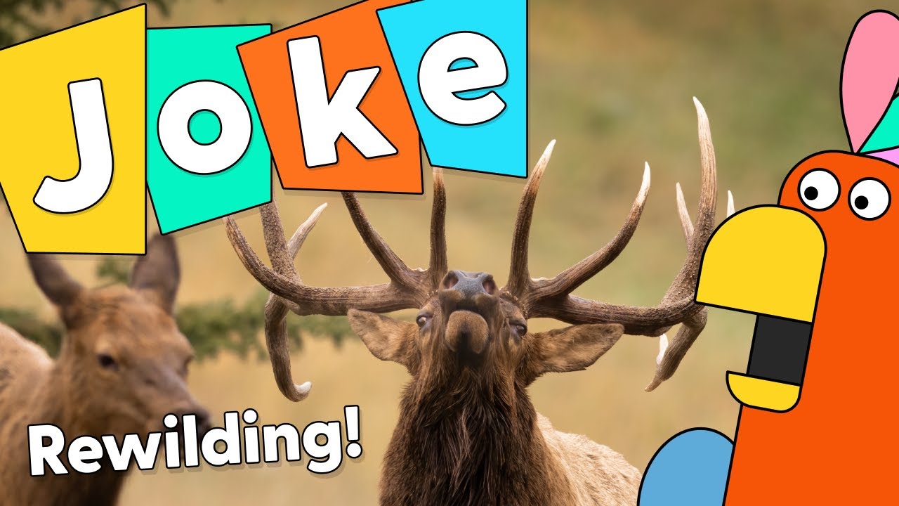 Rewilding Joke Time!