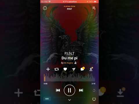 19.DU ME PI~LLUNI x ERNO