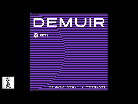 Demuir - Something Inside of Me