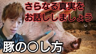 【屠殺場】豚の解体！どうやってトドメを刺すのかお話しします