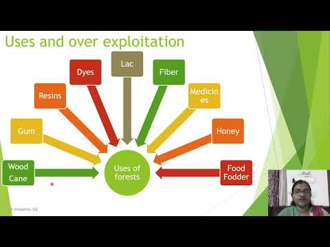 Natural Resources – Forest Resources