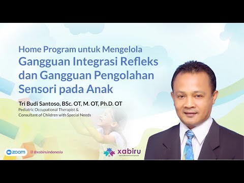 , title : 'Tri Budi Santoso, Ph.D. OT | Home Program Mengelola Gangguan Integrasi Refleks & Sensori ABK'