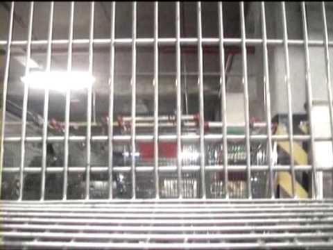 Beyaz Hayvanlar - Boş Trenler