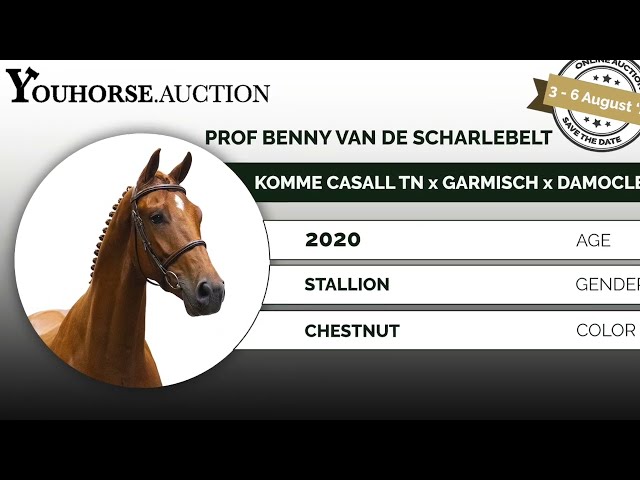Prof Benny van de Scharlebelt trainingsvideo