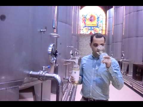 download lagu mp3 mp4 Diamante White Wine, download lagu Diamante White Wine gratis, unduh video klip Diamante White Wine