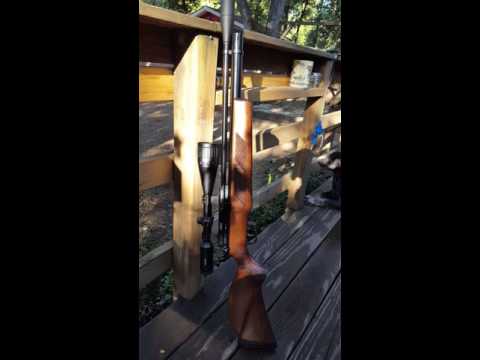 GAMO Coyote Whisper 177cal FPS part 1