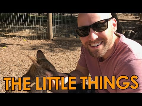 How To Free Yourself From Emotional Pain Suffering