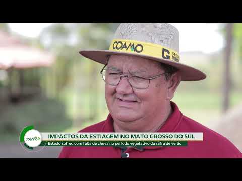 Coamo TV: Impacto da estiagem no Mato Grosso do Sul