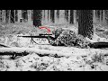 They Called It Impossible Until This Sniper Killed 87 Germans In 72 Hours Alone