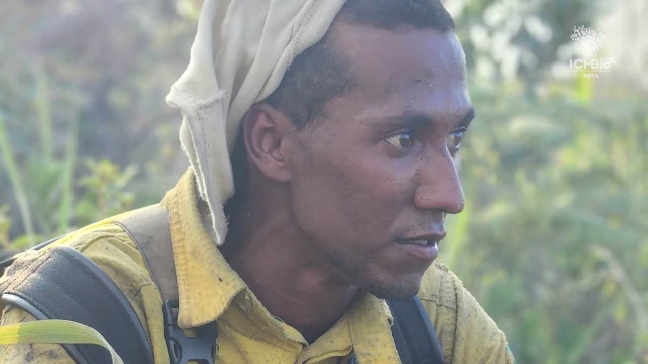 Hino Nacional - Aniversário ICMBio 17 anos