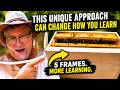 Beekeeping This One Hive Can Change How You Learn