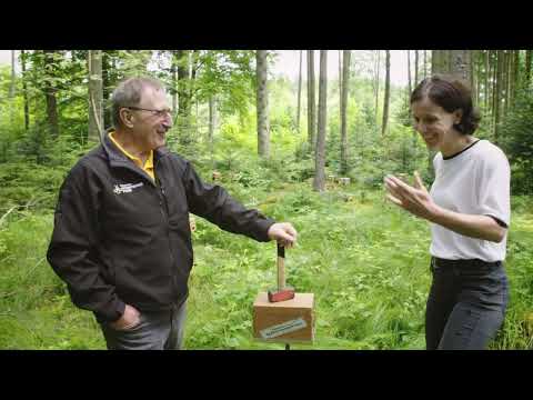 Welchen Nutzen bieten Königinnen-Belegstellen für den Imker?