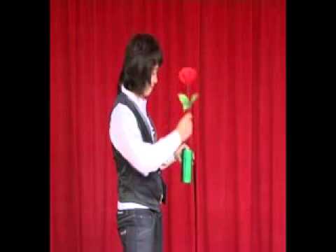 Coloring Rose Through Tube by Tora Magic