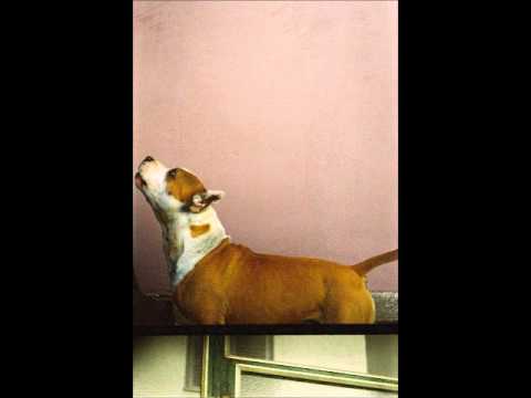 Za Sava ( Ceca Slavkovic - Dunave )