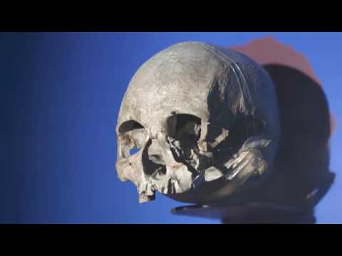 'Jornada da Vida' mostra como era o Brasil antes do descobrimento   Fantástico   O Show da Vida   Ví