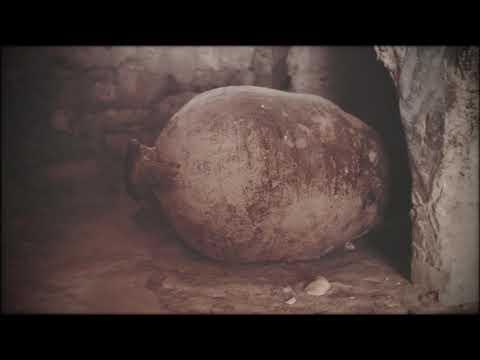  Tunisian Olive Oil - Sacred, symbol of success and divine blessing